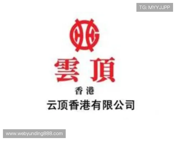 如何为云顶公司选择一个具有市场竞争力和长远发展的名字